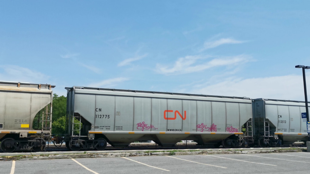 CN 112775